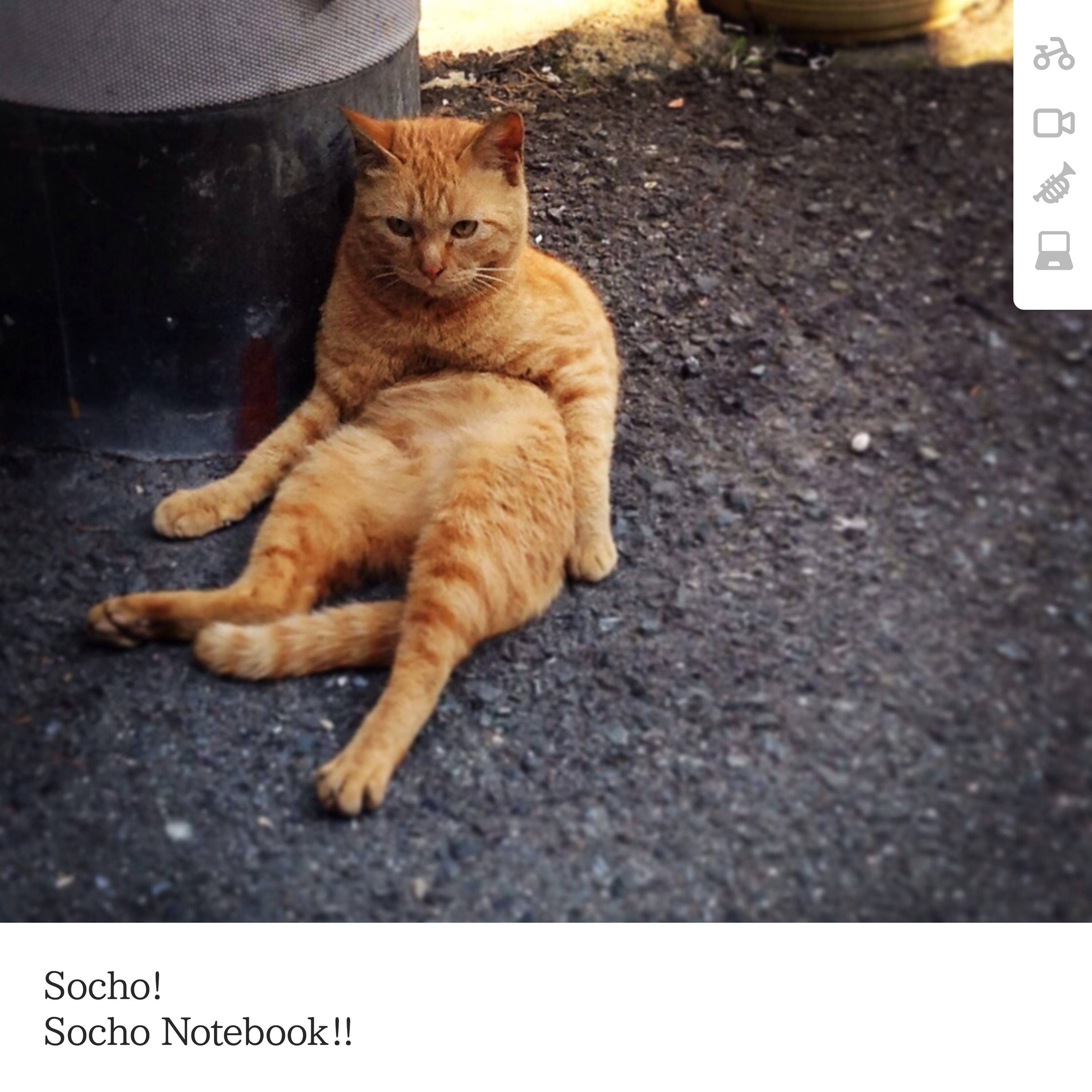 Socho! Socho Notebook!
